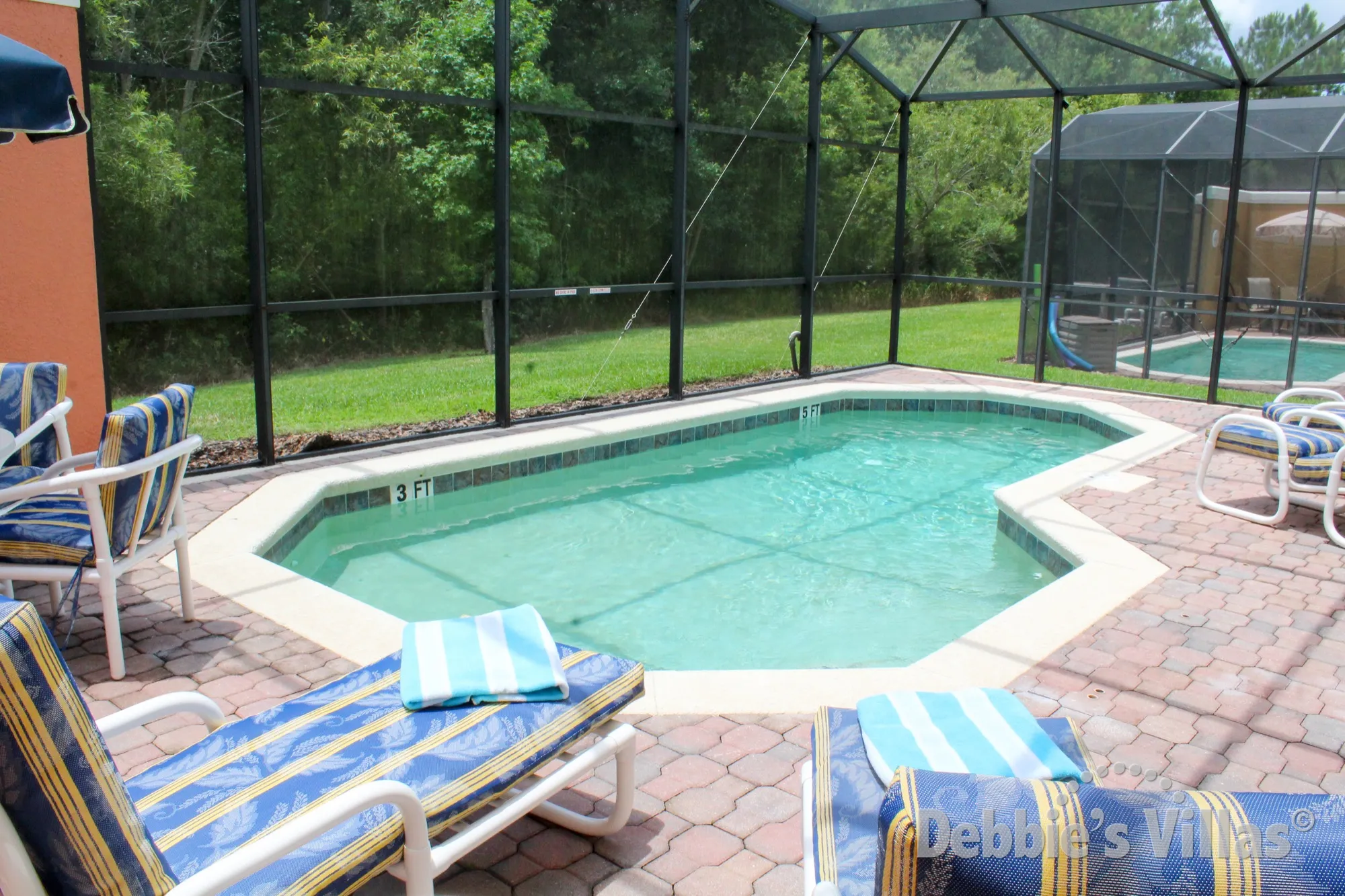 South-facing pool with woodland view at this Terra Verde home in Kissimmee
