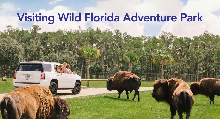 Visiting Wild Florida Adventure Park