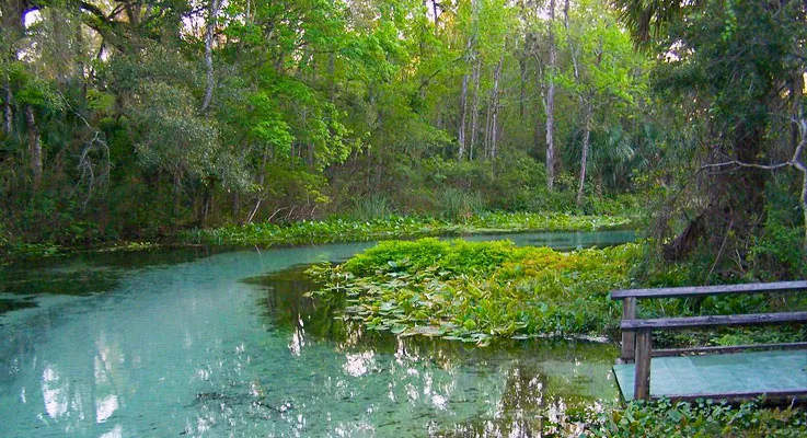 Enjoy a Relaxing Day at Kelly Park’s Rock Springs