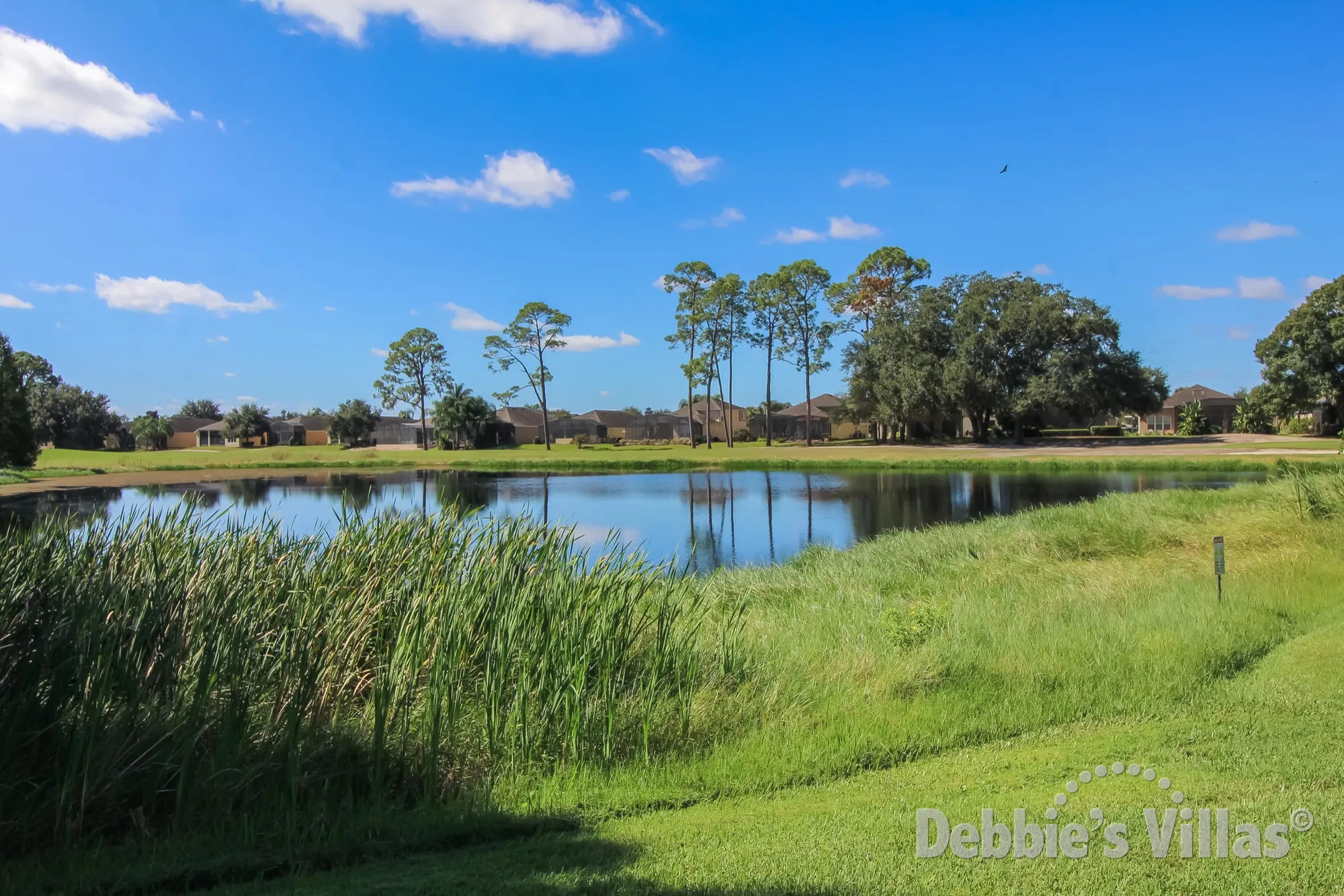 Beautiful lake view to be seen from the pool deck on Ridgewood Lakes in Davenport