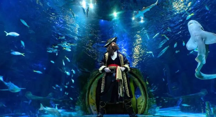 Pirate Fest at SeaLife