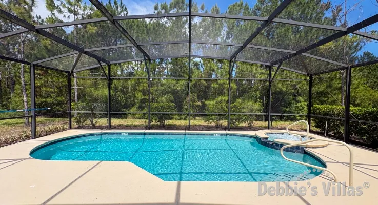 Should You Book Your Orlando Villa Direct with the Owner or Through A Travel Agent?