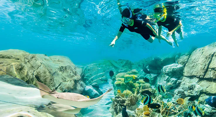 Enjoy an unforgettable day at Discovery Cove