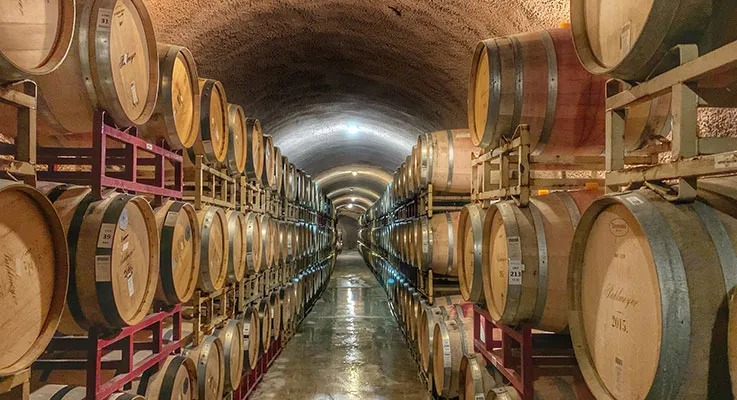 Wine barrels underground