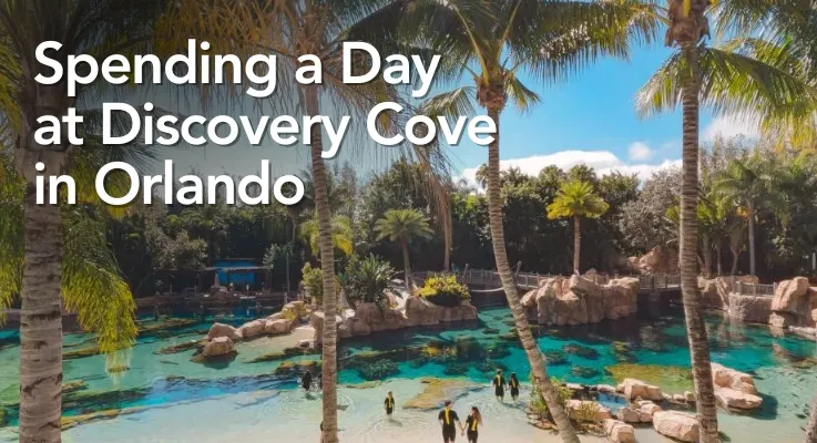 Spending a day at Discovery Cove in Orlando