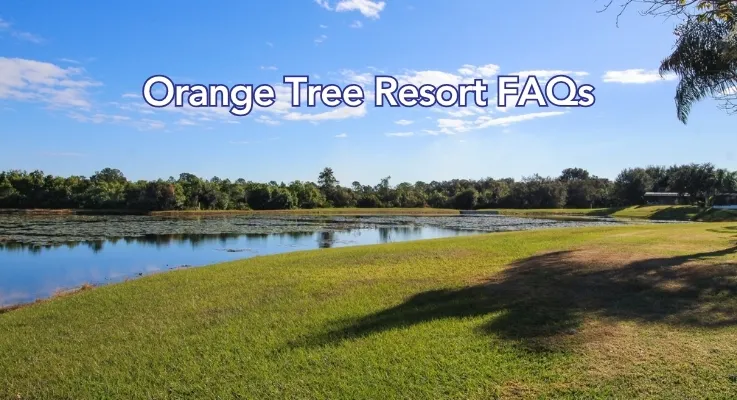 Orange Tree FAQs | Orlando Villa Guide & Travel Tips