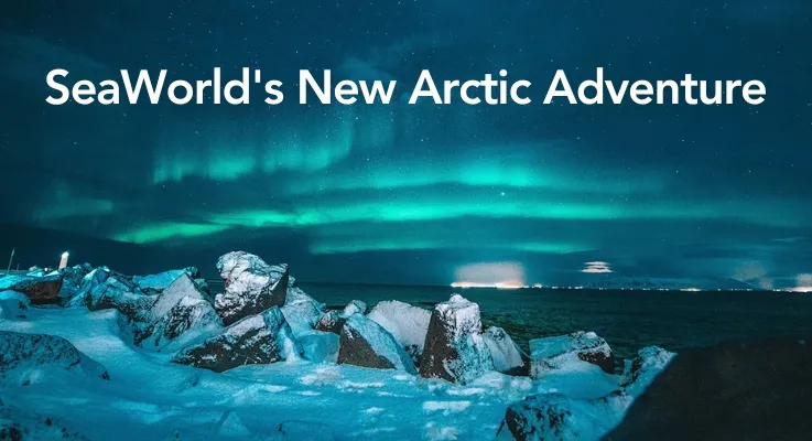 SeaWorld’s Flying Arctic  