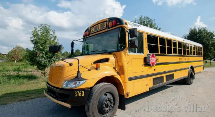American School Bus 