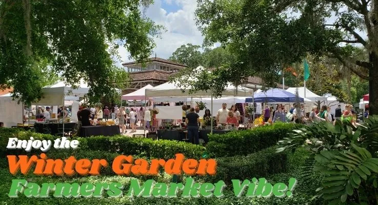 Enjoy the Winter Garden Farmers Market Vibe!