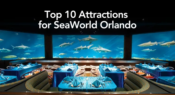 Top 10 Attractions for SeaWorld Orlando