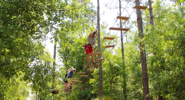 Take on this towering forest adventure with all the family
