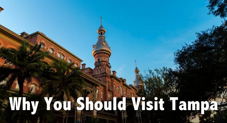 Why You Should Visit Tampa