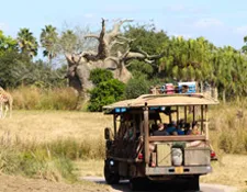 Disney's Animal Kingdom