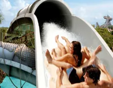 Disney's Typhoon Lagoon