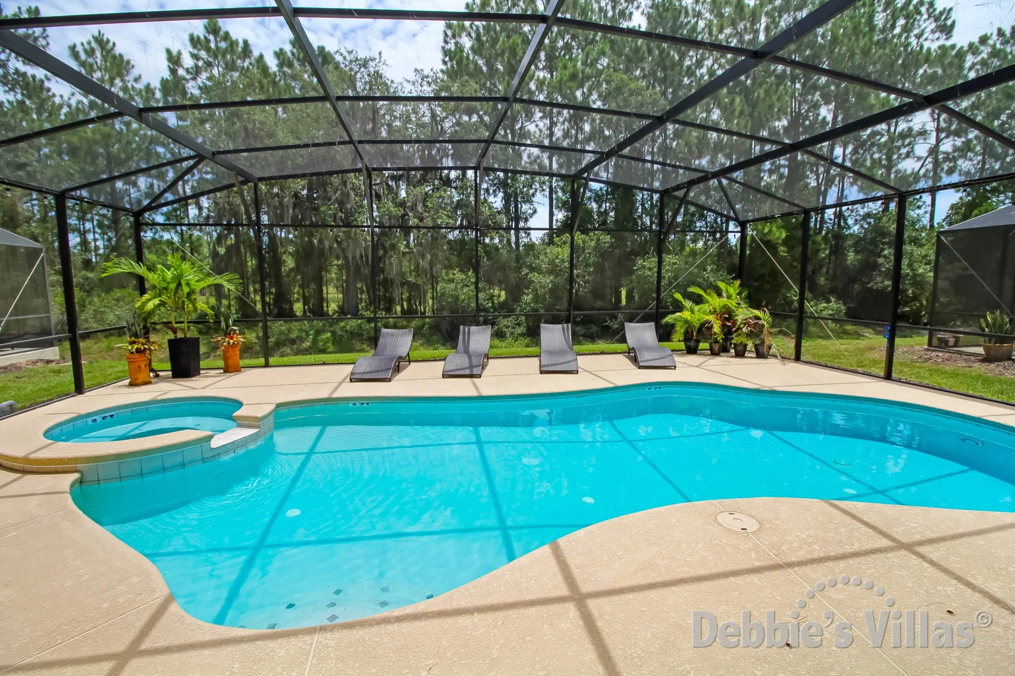 Scenic view from private pool and spa on gated Davenport community of Watersong